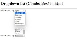 HTML Programs With Their Input And Output